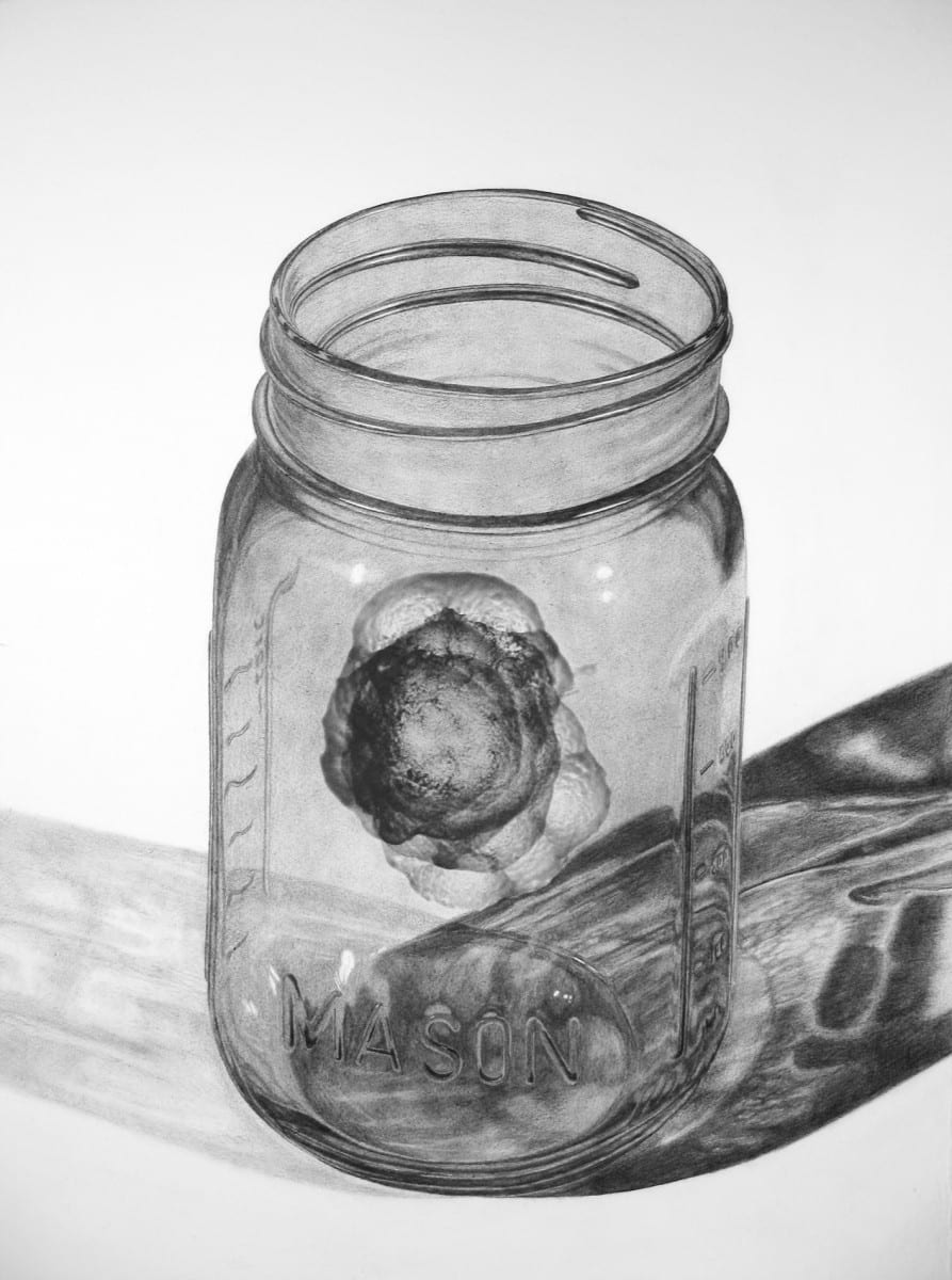  Michael Schall, Jar, graphite on paper, 30” x 40”, 2011 * 