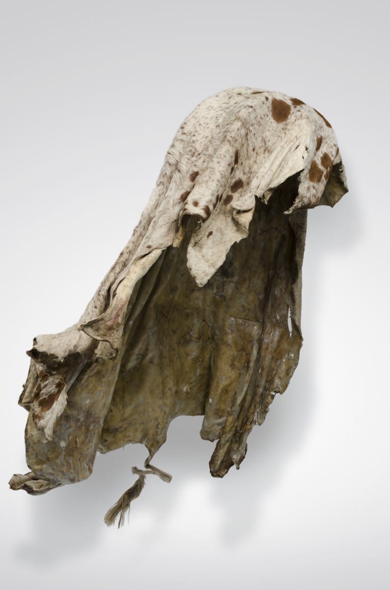 Nandipha Mntambo, Kukuvikela ebuhlungwini lobujulile, (Protection from your affections), Cow hide, resin, 74” x 55” x 22 5/16”, 2013 © Jean-Baptiste Beranger 