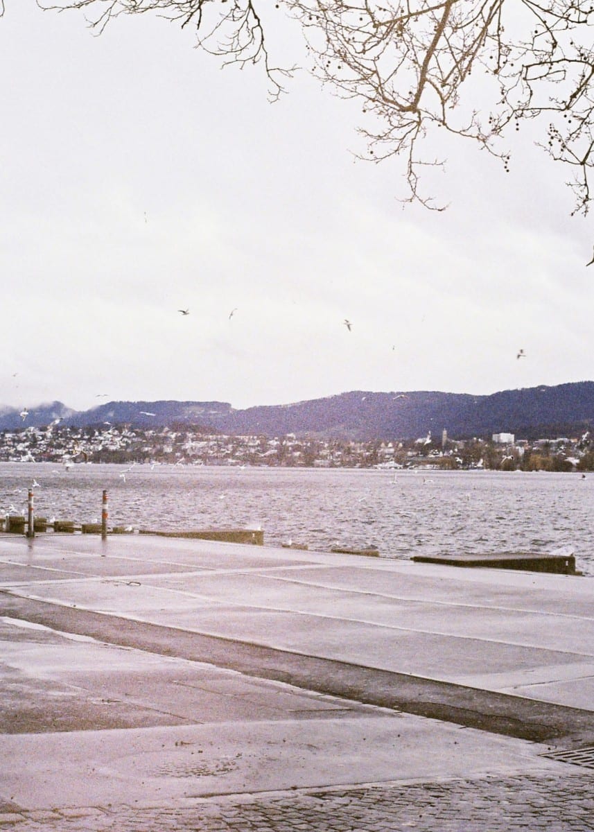 Clara Balzary, Zurich Triptych, photograph © of the artist and The Tappan Collective