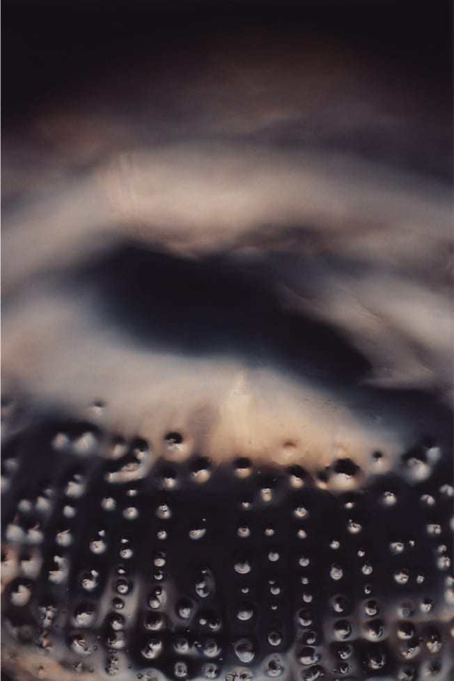 Alyson Denny, Jellyfish Picture No. 22, color photograph, 40 x 30", 2001