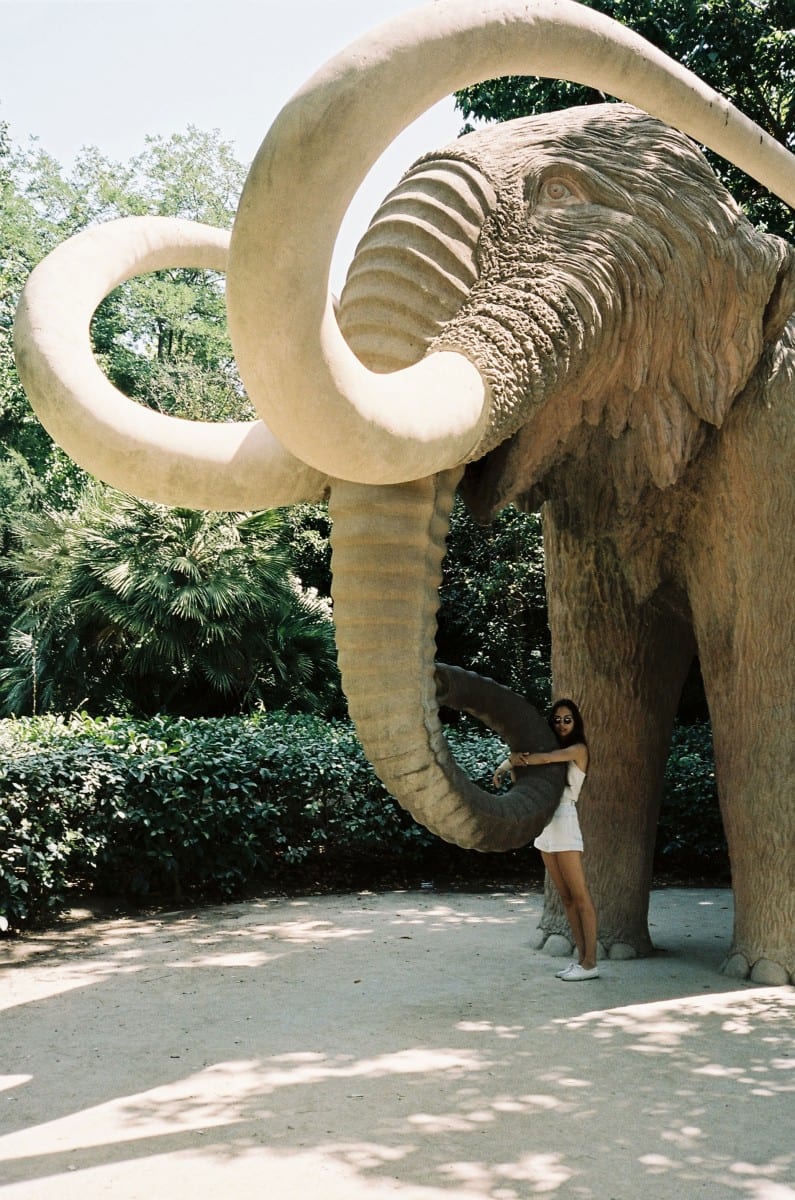 Emma Le Doyen, Bams au Zoo, 2013