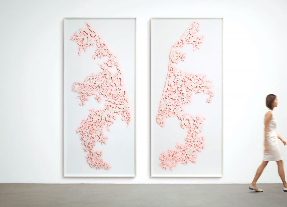 David Adey, Hide, laser-cut paper, fluorescent, acrylic and pins on 2 pac foam panels, 120" x 54" (each panel), 2013