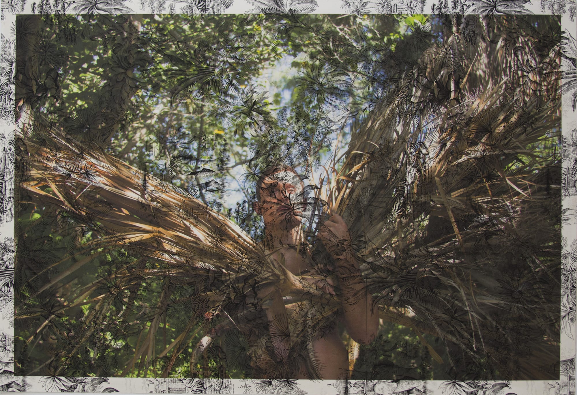 Tim Hailand, Arnaud Cizergues Dead Palms Captiva (on black tiger toile), digital pigment print on patterned toile de Jouy fabric, 26" x 38", unique print, 2013
