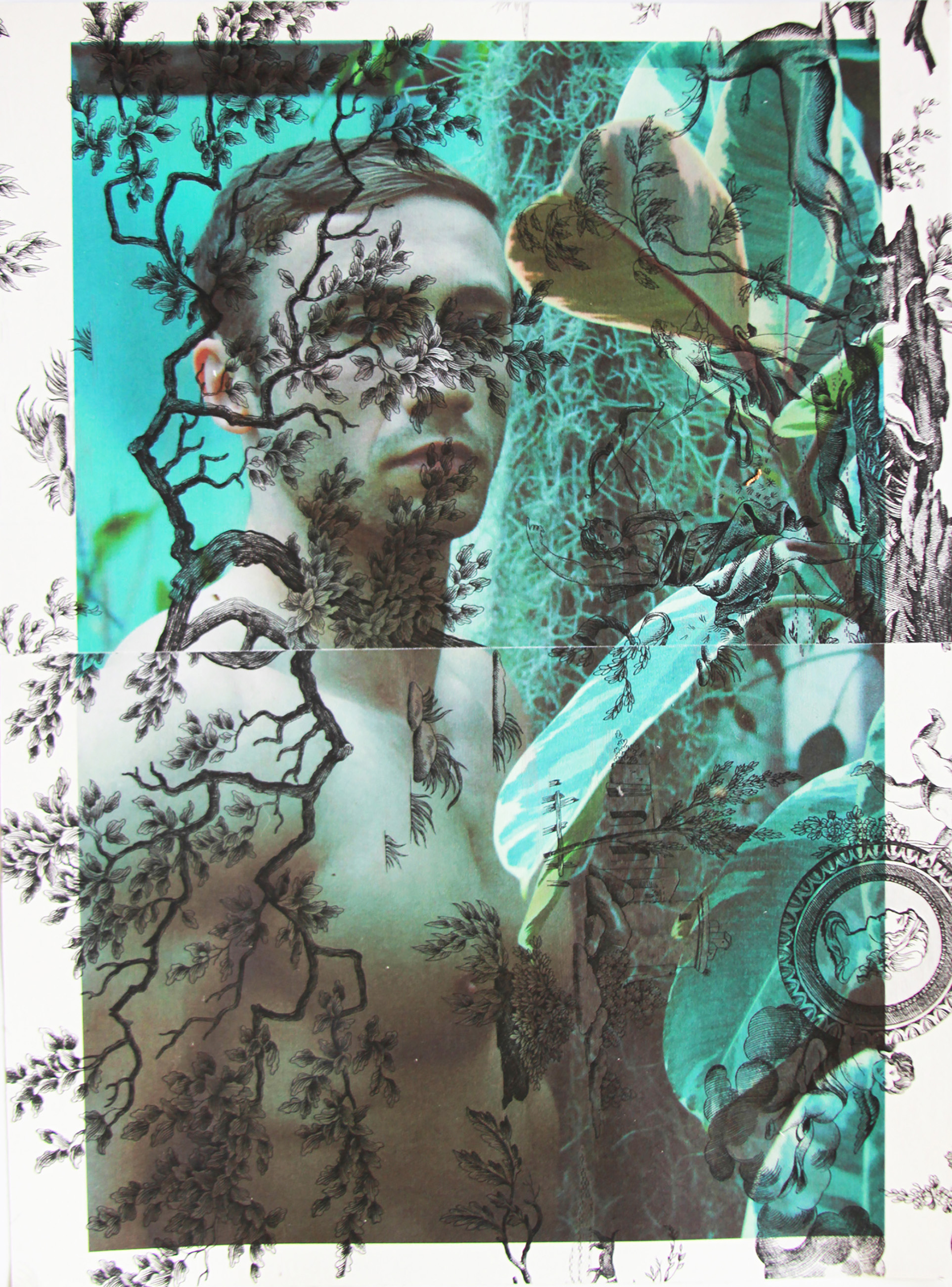 Tim Hailand, Michel in Claude Monet's greenhouse Giverny (on black mythical toile), digital pigment print on patterned toile de Jouy fabric, 25" x 19", unique print, 2012