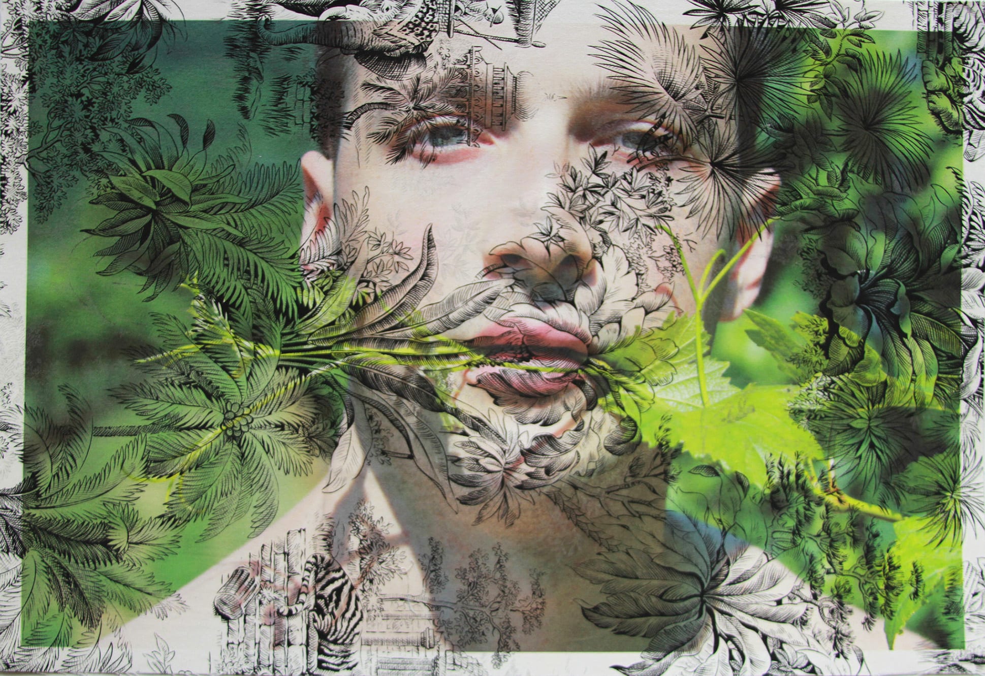 Tim Hailand, Dan Vine face Vienna (on black tiger toile), digital pigment print on patterned toile de Jouy fabric, 13" x 19", unique print, 2012